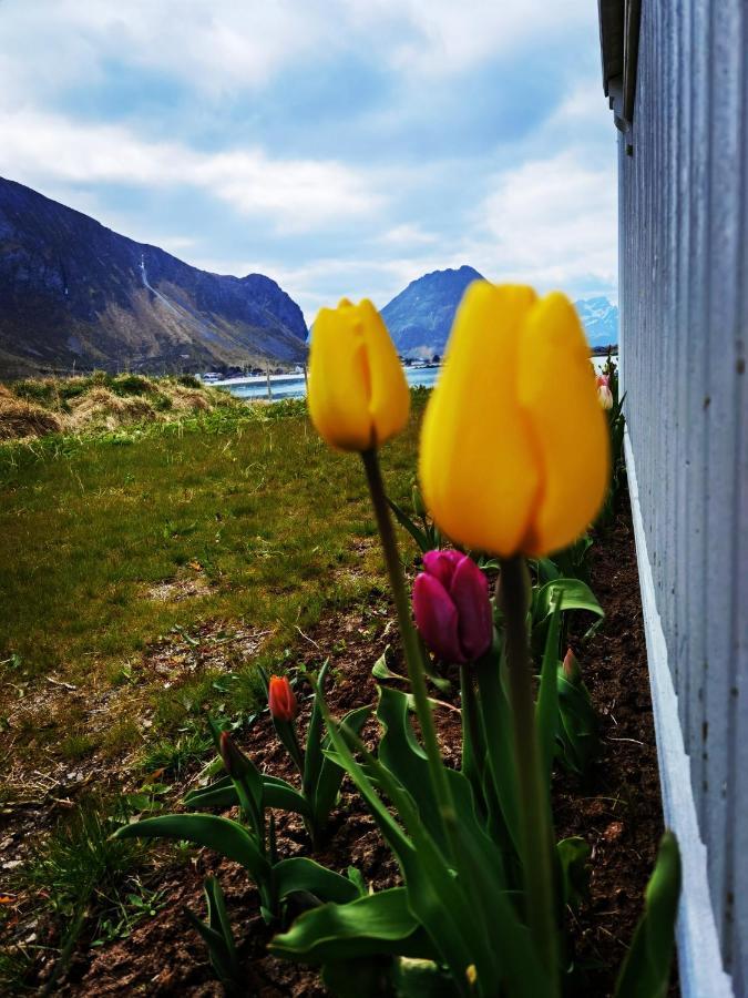 Banpim Beachside Lofoten Ramberg Kültér fotó