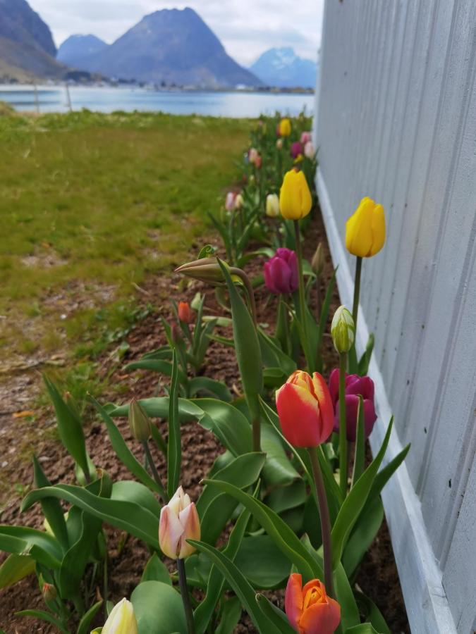 Banpim Beachside Lofoten Ramberg Kültér fotó