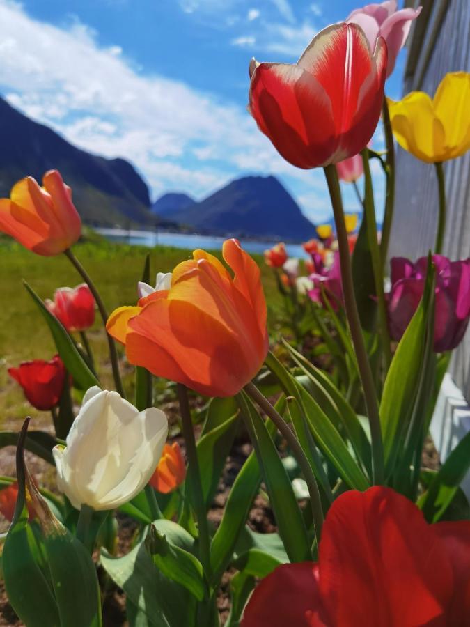 Banpim Beachside Lofoten Ramberg Kültér fotó