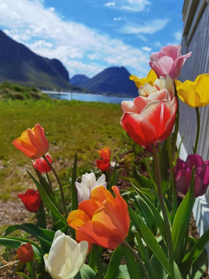 Banpim Beachside Lofoten Ramberg Kültér fotó